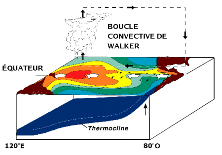 Circulation convective normale de Walker