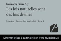Saint-Martin : L’homme face à sa finalité par Pierre Soumarey en format electronique