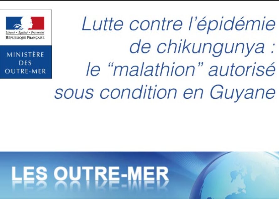 Guyane – L’utilisation du “malathion” autorisée de façon contrôlée dans le cadre de la lutte contre l’épidémie de chikungunya