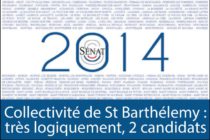 Sénatoriales 2014 – Saint-Barth où l’âge de raison après l’évolution statutaire : deux candidats
