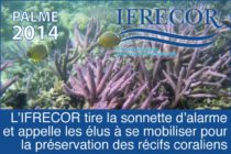 Réchauffement climatique : L’IFRECOR tire la sonnette d’alarme et appelle les élus à se mobiliser pour la préservation des récifs coralliens