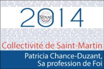 Sénatoriales 2014 – La profession de foi de Madame Patricia Chance-Duzant