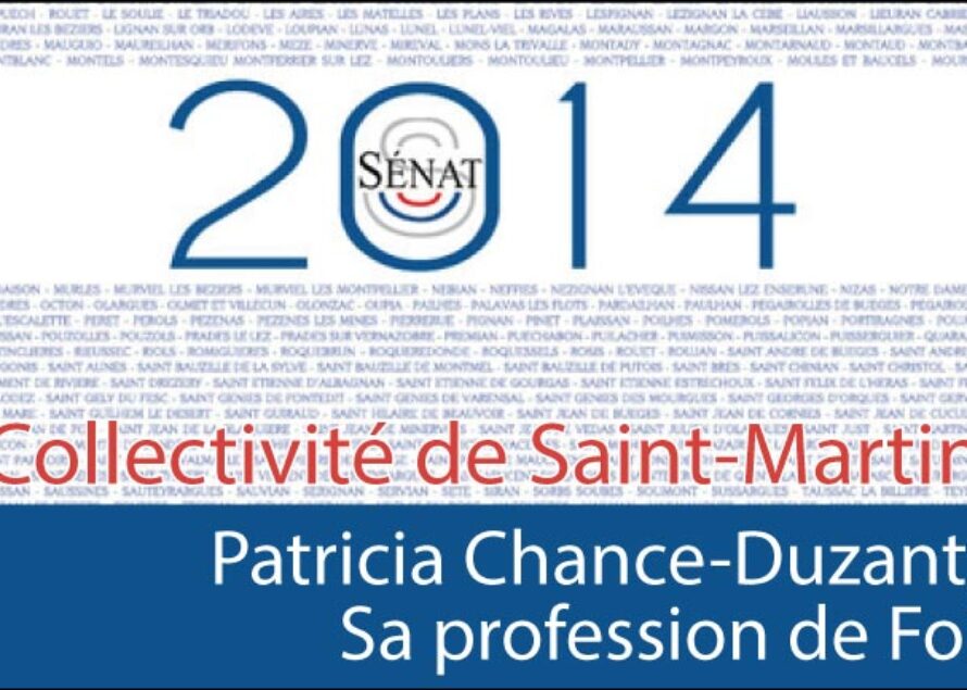 Sénatoriales 2014 – La profession de foi de Madame Patricia Chance-Duzant