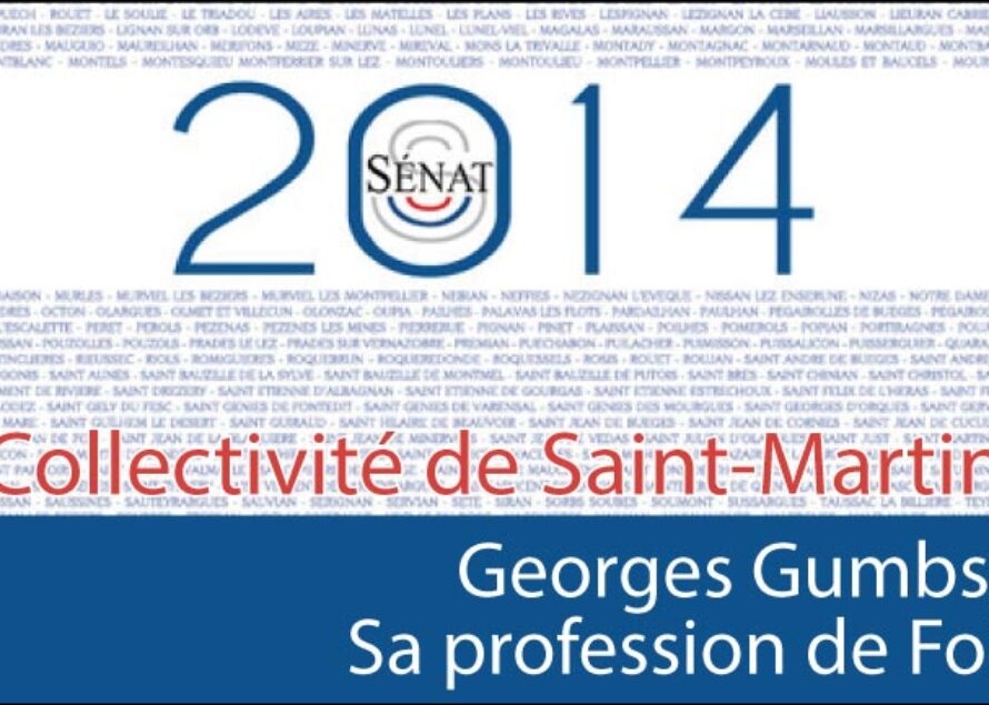 Sénatoriales 2014 – La Profession de Foi de Georges Gumbs