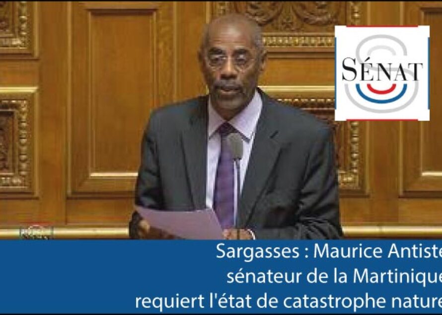 Sargasses – Maurice Antiste, sénateur de la Martinique, requiert l’état de catastrophe naturel suite à l’invasion de “sargasses”