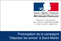 Prolongation de la campagne “Déposez les armes” à Saint-Martin