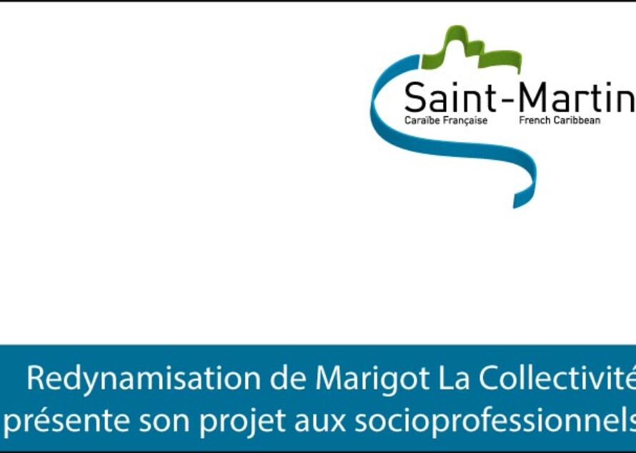 Redynamisation de Marigot : La Collectivité présente son projet aux socioprofessionnels