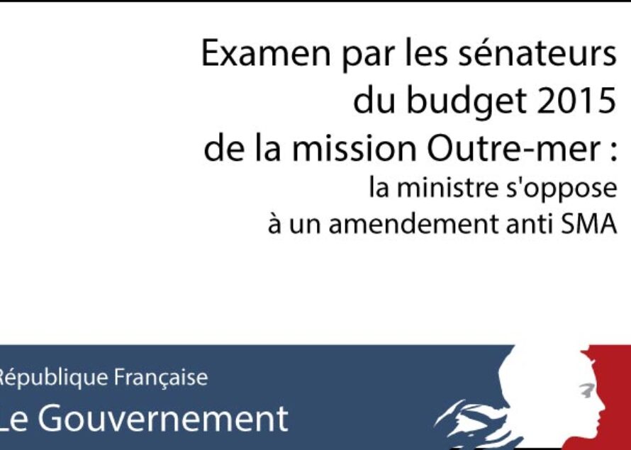 Examen par les sénateurs du budget 2015 de la mission Outre-mer : la ministre s’oppose à un amendement anti SMA
