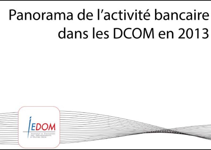 Panorama de l’activité bancaire dans les DCOM en 2013