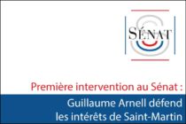 Première intervention au Sénat : Guillaume Arnell défend les intérêts de Saint-Martin