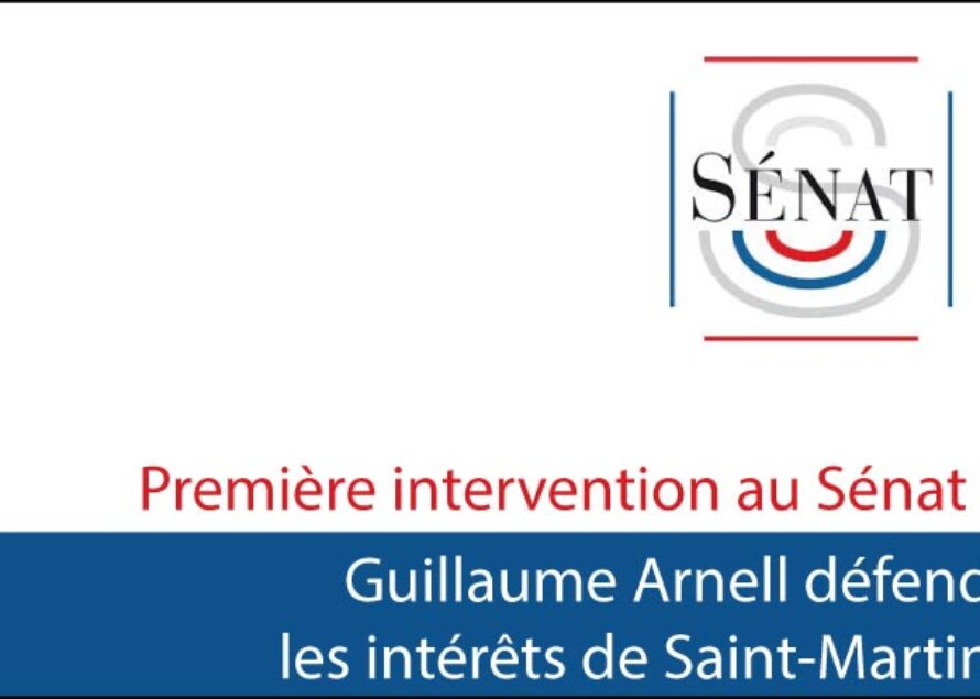 Première intervention au Sénat : Guillaume Arnell défend les intérêts de Saint-Martin