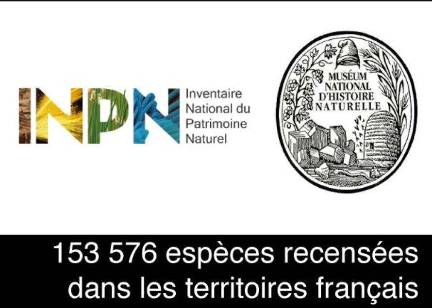France – Bilan du recensement des espèces de faune, flore et fonge, terrestres et marines