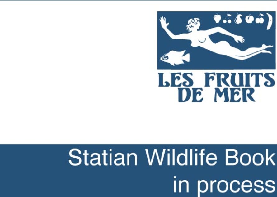 Sint Eustatius – Field Research for Wildlife Book Begins