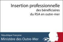 Insertion professionnelle des bénéficiaires du RSA en outre-mer