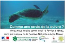 Amoureux de tortues marines…… faites le vite savoir auprès de la Réserve Naturelle