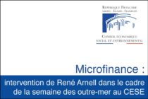 Microfinance : intervention de René Arnell dans le cadre de la semaine des outre-mer au CESE