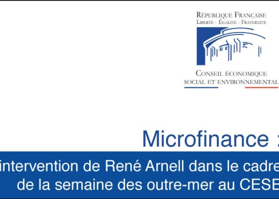 Microfinance : intervention de René Arnell dans le cadre de la semaine des outre-mer au CESE