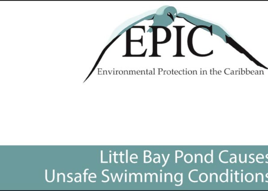 St. Maarten – Little Bay Pond Causes Unsafe Swimming Conditions