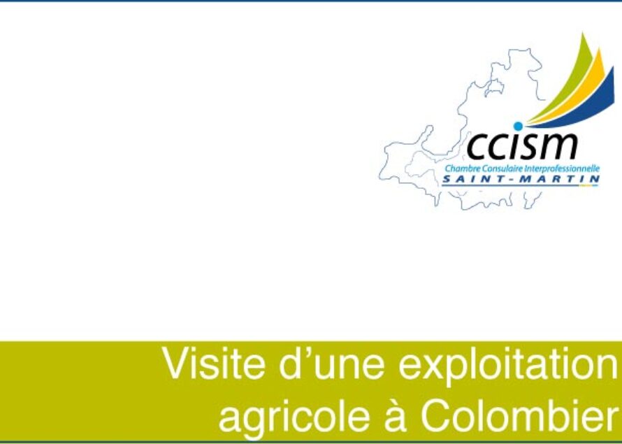 Saint-Martin : La CCISM sur le terrain
