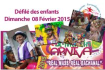 Carnaval 2015 – Défilé des enfants en photos par Stephdeziles