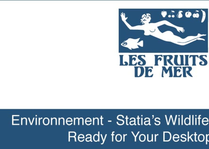 Environnement – Statia’s Wildlife, Ready for Your Desktop