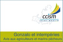 Gonzalo et intempéries : Avis aux agriculteurs et marins pêcheurs de Saint-Martin