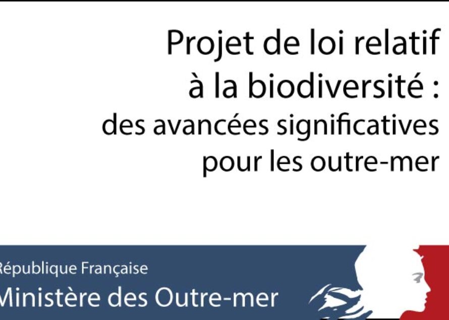 Projet de loi relatif à la biodiversité :  des avancées significatives pour les outre-mer