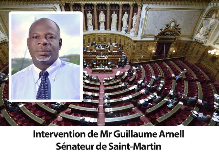 Intervention de Mr Guillaume Arnell Sénateur de St-Martin : DÉBAT SUR L’AVENIR DE L’INDUSTRIE AGROALIMENTAIRE