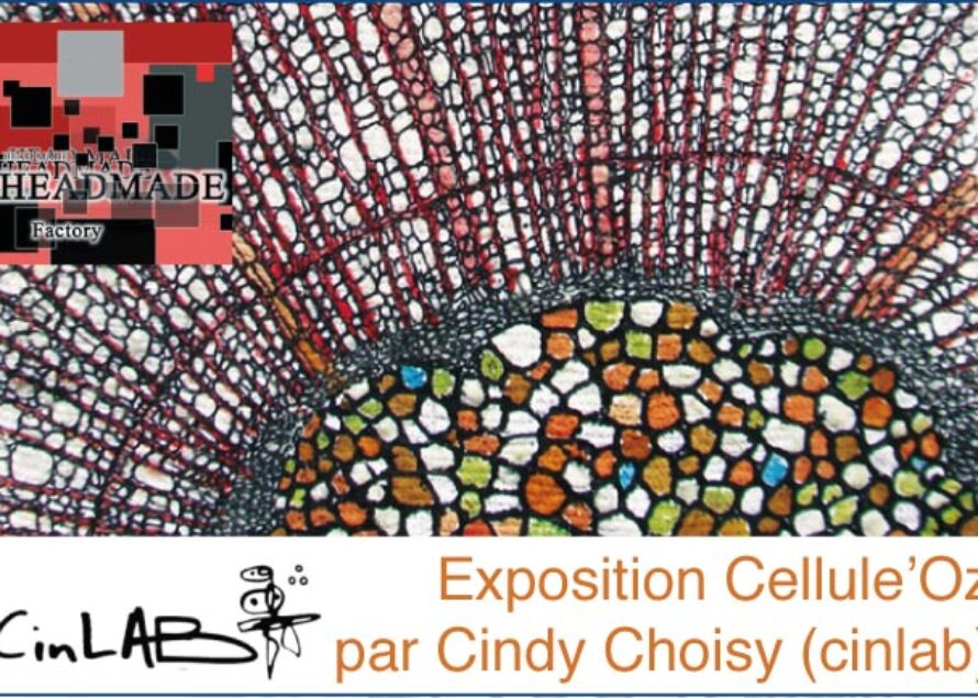 Saint-Martin – Exposition Cellule’Oz par Cindy Choisy (cinlab)