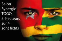 Connaissez-vous l’association Synergie-Togo ?