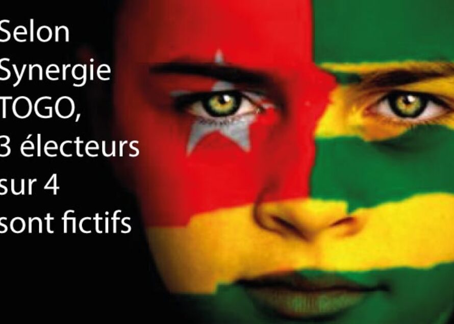 Connaissez-vous l’association Synergie-Togo ?