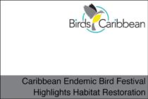 Caribbean Endemic Bird Festival Highlights Habitat Restoration