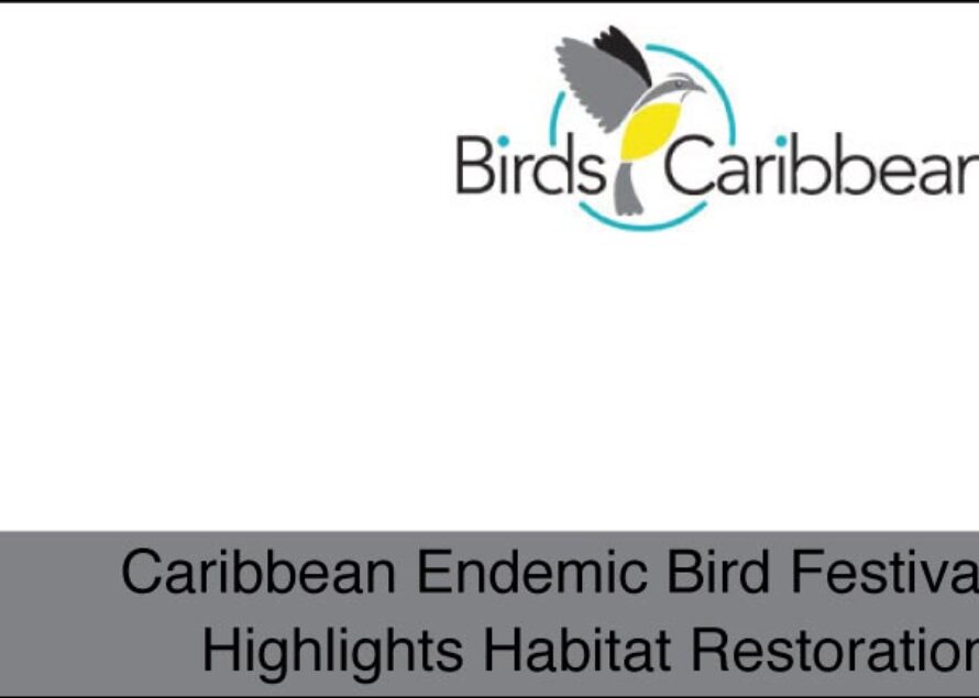 Caribbean Endemic Bird Festival Highlights Habitat Restoration