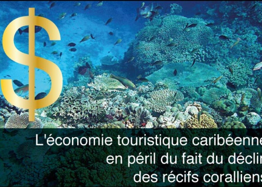 Tourisme – L’économie caribéenne en péril du fait du déclin des récifs coralliens…