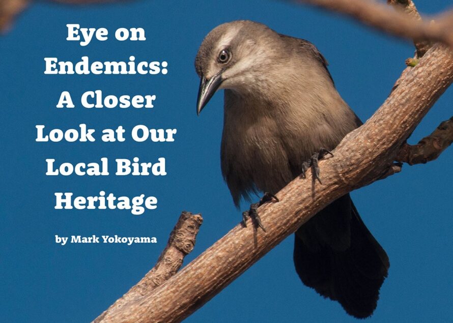 Festival des animaux endémiques : les fruits de mer éditent un e-book gratuit dédié aux oiseaux