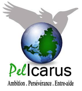 logo-pelicarus