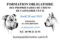Saint-Martin – Propriétaires de chiens de catégorie 1 et 2, avez-vous bien suivi la formation obligatoire ?