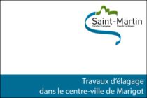 Collectivité de Saint-Martin : attention, travaux d’élagage