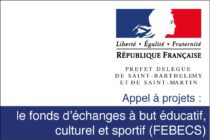 Appel à projets : le fonds d’échanges à but éducatif, culturel et sportif (FEBECS)