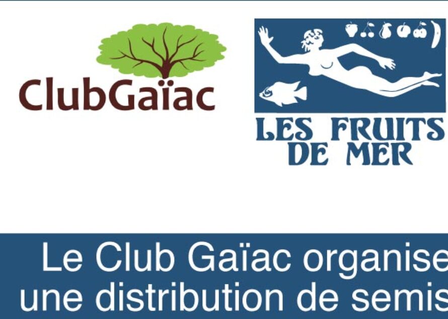 Saint-Martin – Les Fruits de Mer organise au travers du Club Gaïac une distribution de semis