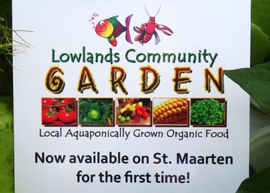 Lowlands Community Garden – Your Community Garden Needs Your Help !