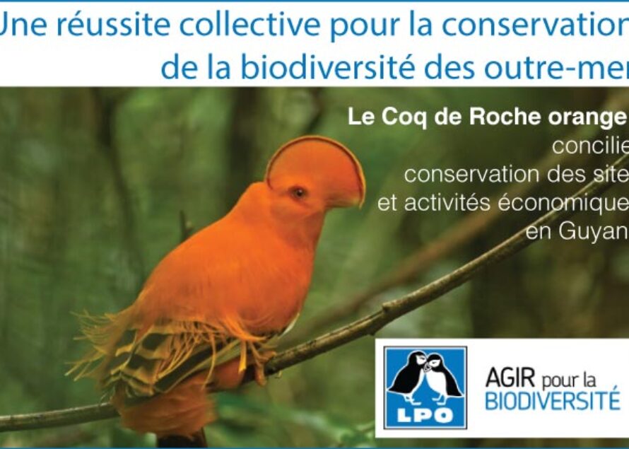 Une réussite collective pour la conservation de la biodiversité des outre-mer