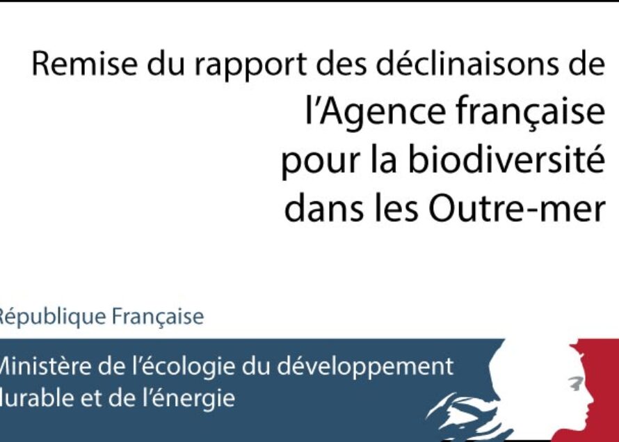 Remise du rapport des déclinaisons de l’Agence française pour la biodiversité dans les Outre-mer