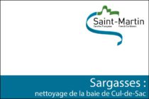 Saint-Martin – Sargasses : nettoyage de la baie de Cul-de-Sac