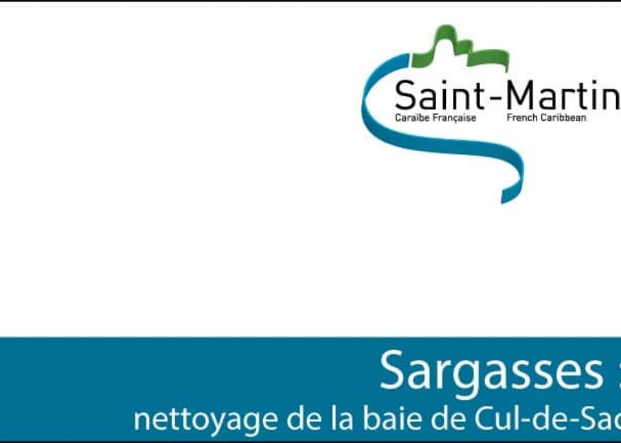 Saint-Martin – Sargasses : nettoyage de la baie de Cul-de-Sac