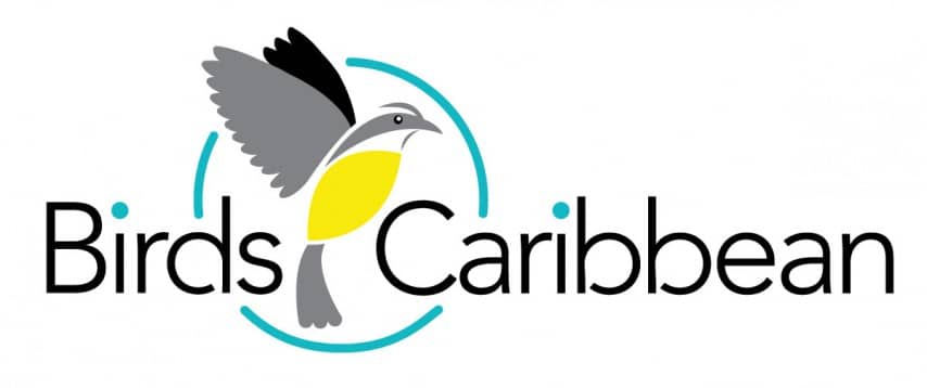 BirdsCaribbean is a vibrant international network of members and partners committed to conserving Caribbean birds and their habitats.