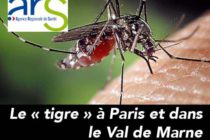 Des moustiques tigres repérés dans deux espaces verts à Paris et Créteil