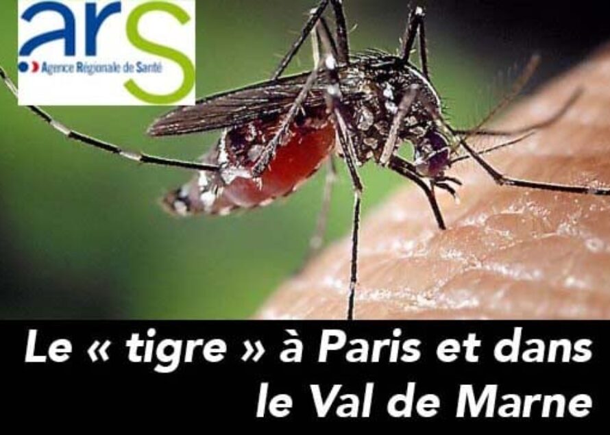 Des moustiques tigres repérés dans deux espaces verts à Paris et Créteil