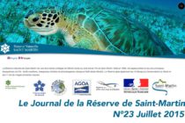 Réserve naturelle Nationale de Saint-Martin : Une nouvelle espèce de mammifère marin découverte dans les îles du nord