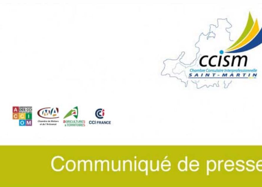 CCI Saint-Martin : structurer la filière pêche, c’est aussi former les professionnels de demain